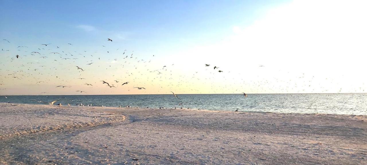 Villa Sunset Vistas 407S St. Pete Beach Exterior foto