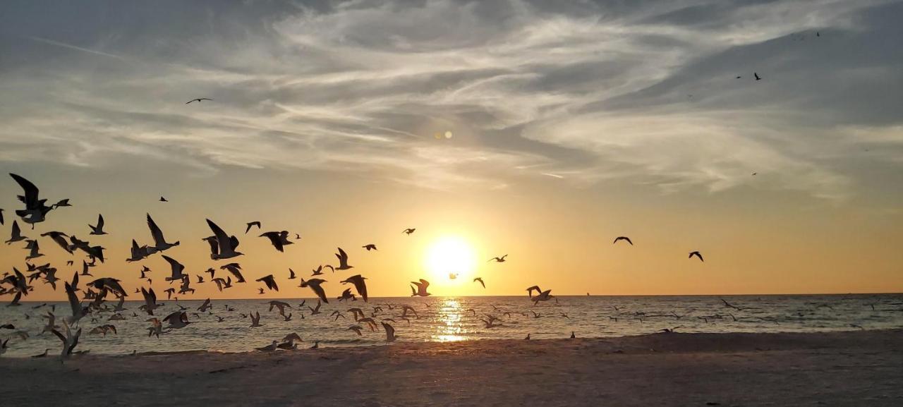 Villa Sunset Vistas 407S St. Pete Beach Exterior foto